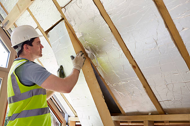 Best Geographic-Specific Insulation Services in Flomaton, AL