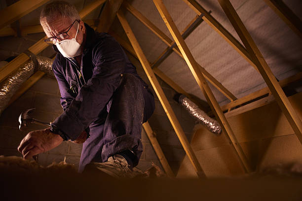 Professional Insulation Contractor in Flomaton, AL